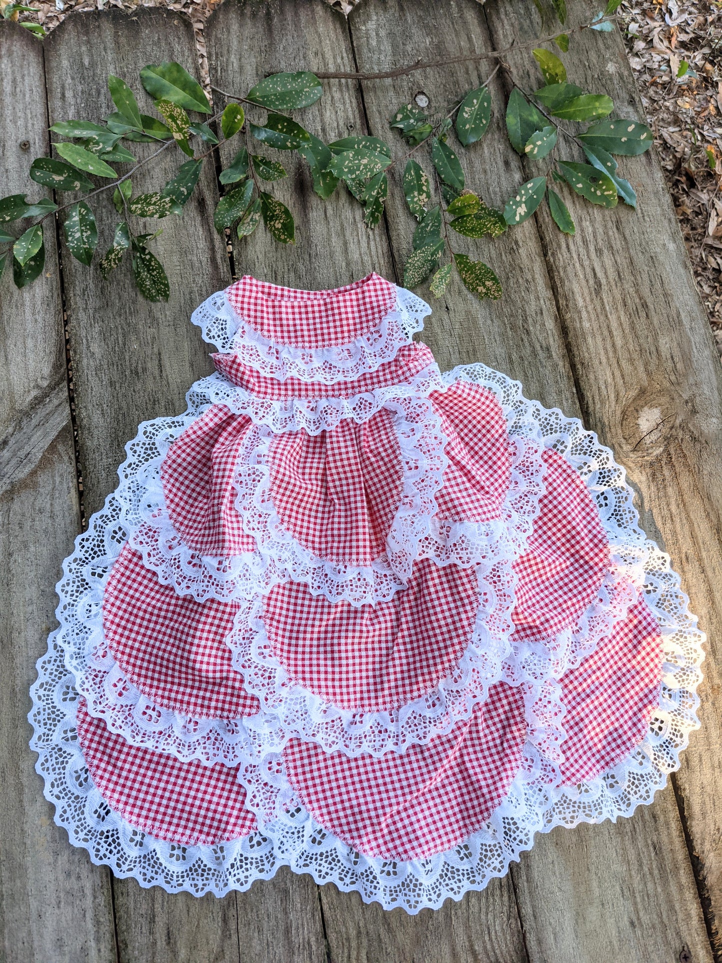 Dramatic plaid lace gown for cat photoshoot