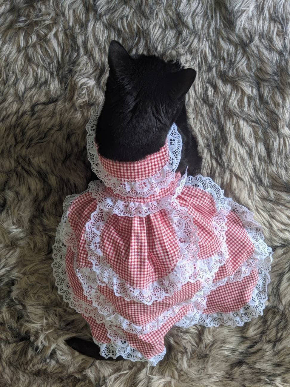 Dramatic plaid lace gown for cat photoshoot cat model