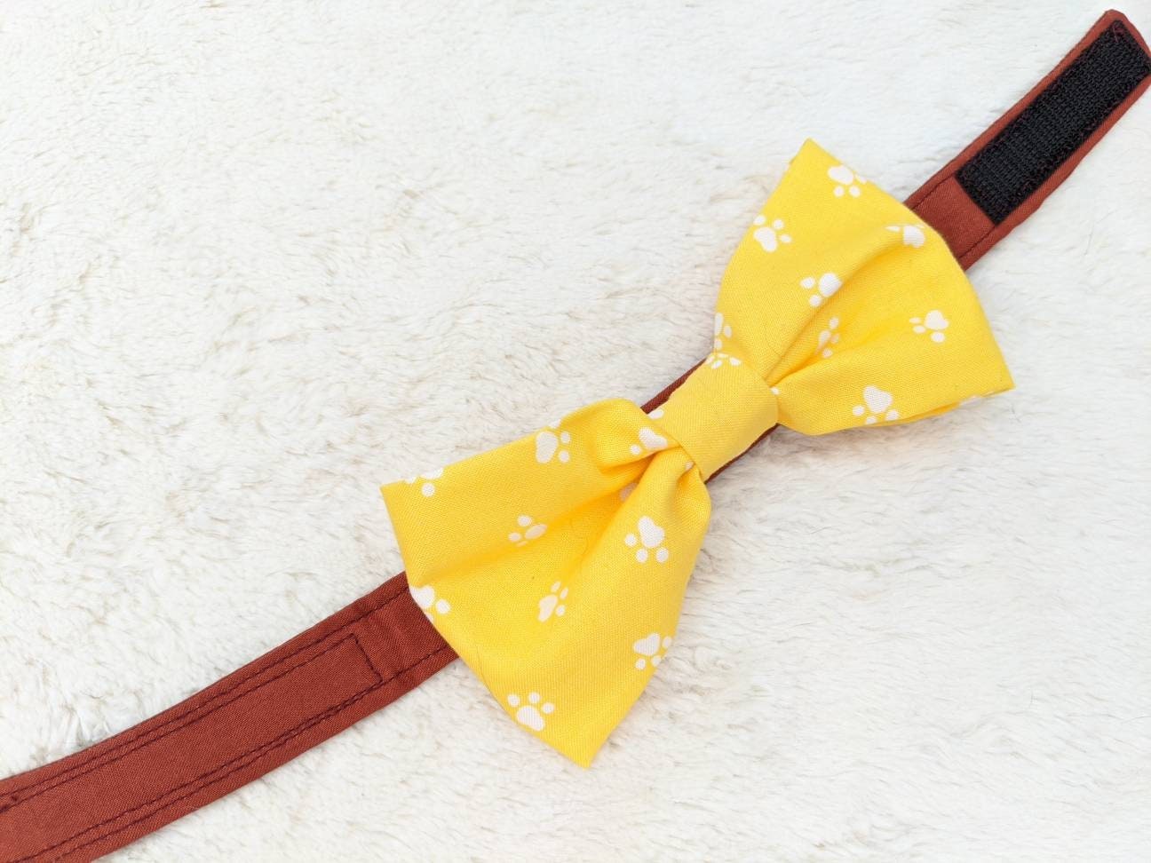 Adjustable Orange Collar Accessory for Cat