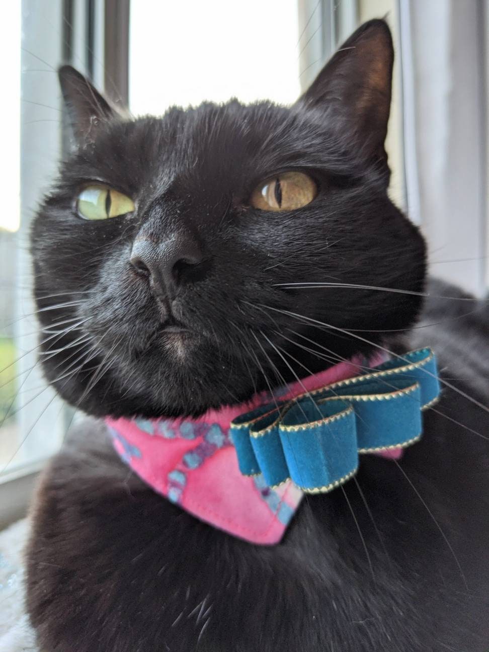 Colorful Cat Adjustable Bow Tie Collar
