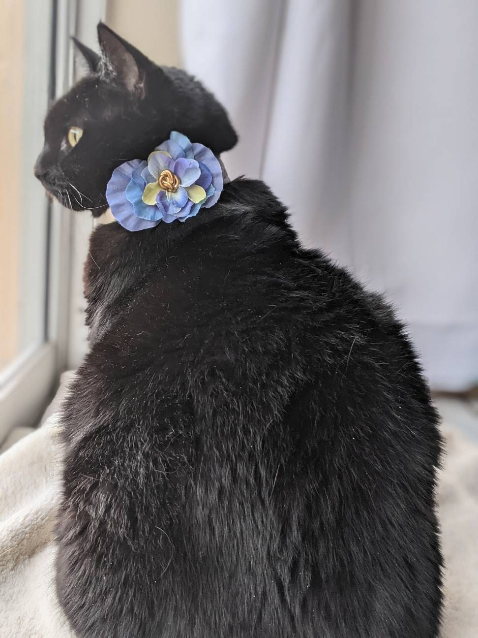 Adjustable Purple Collar Accessory for Cat