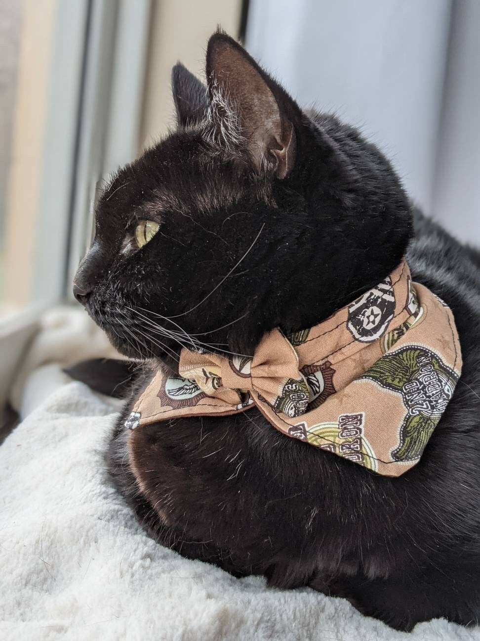 Fancy and Elegant Cat Collar Accessory