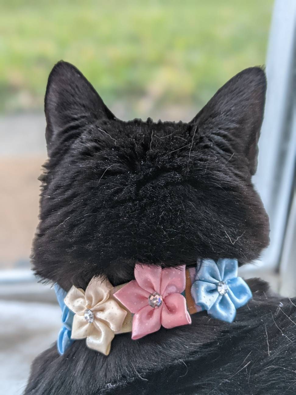 Adjustable Blue Green Collar Accessory for Cat