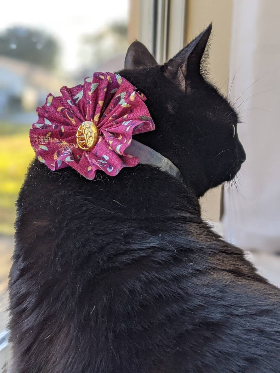Adjustable Purple Collar Accessory for Cat