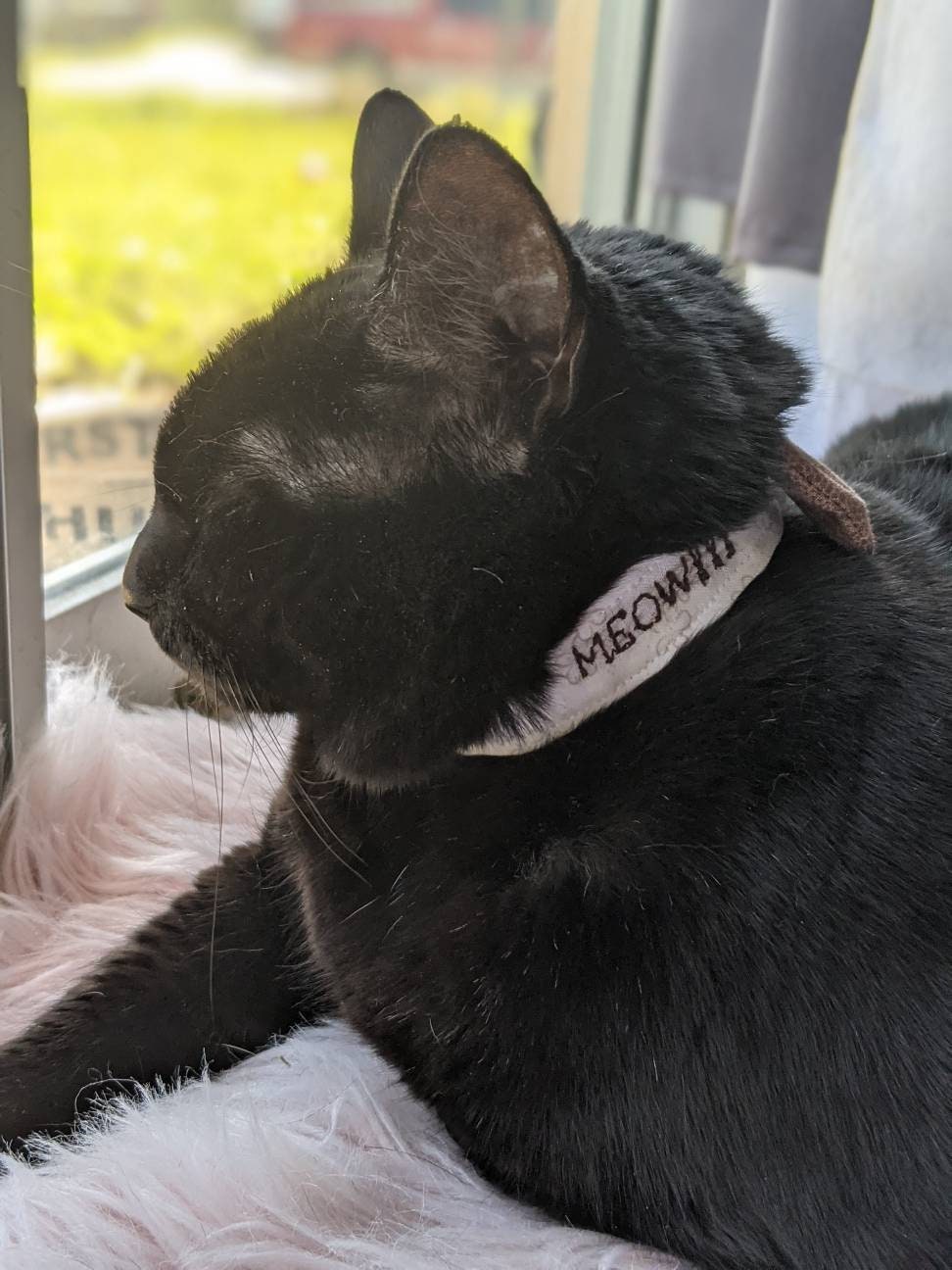 Adjustable Brown or Black Collar Accessory for Cat