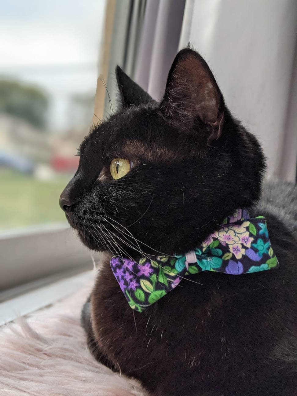 Adjustable Green Collar Accessory for Cat