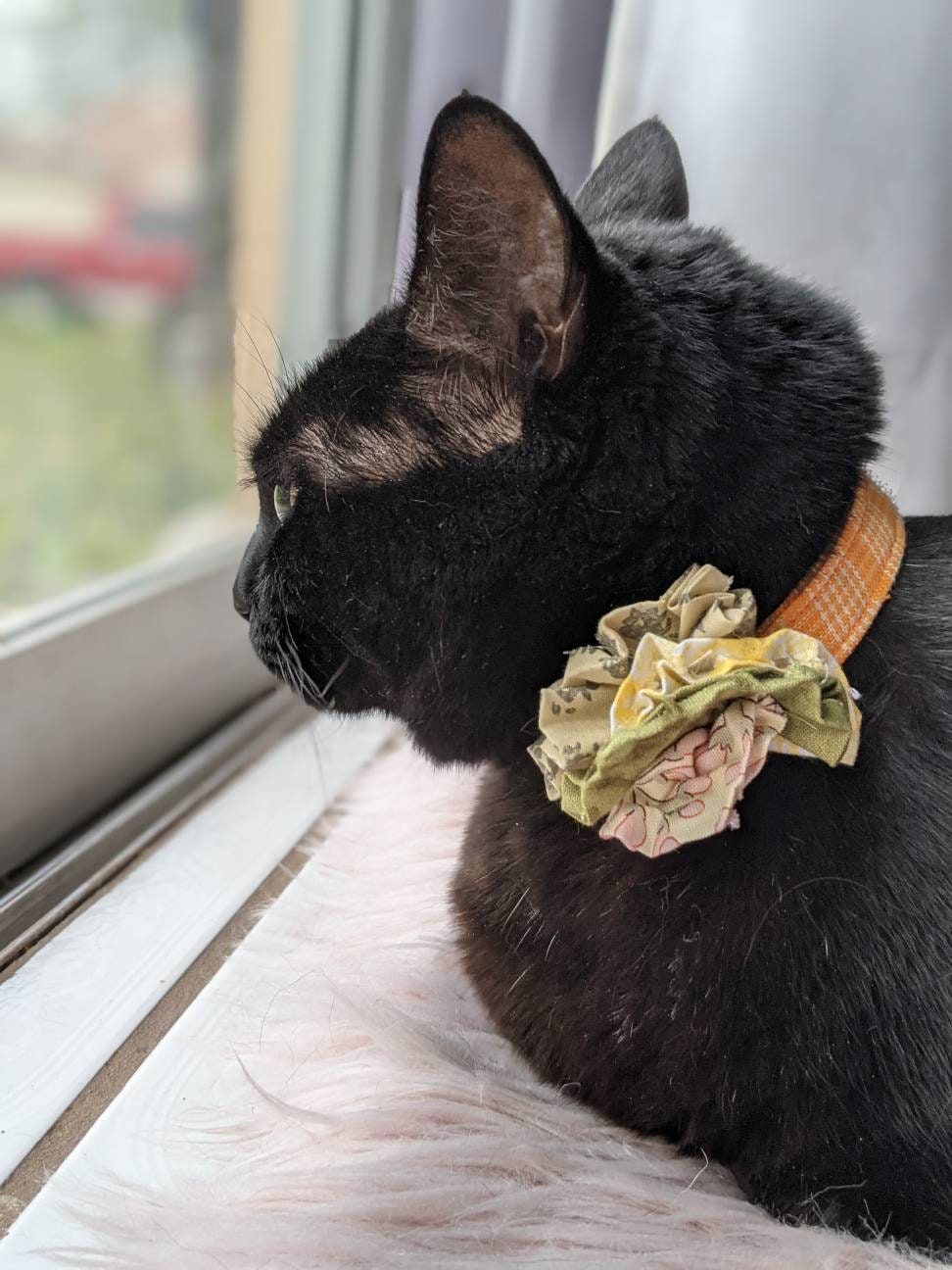 Yellow Flower Collar for Cat