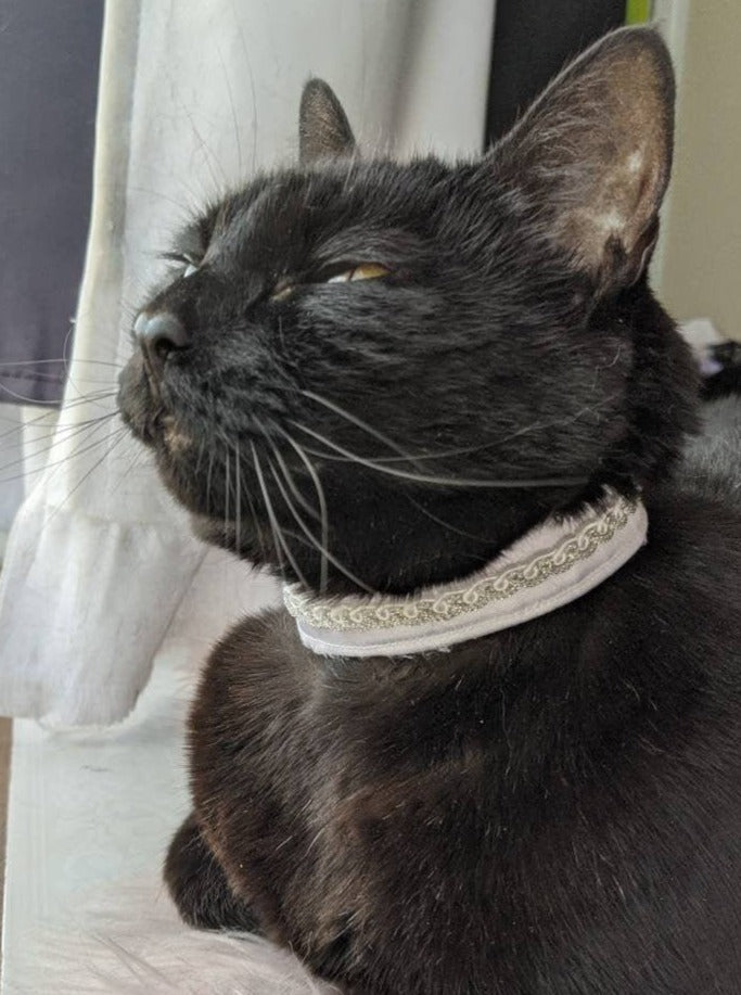 Adjustable Elegant Wedding Collar Accessory for Cats