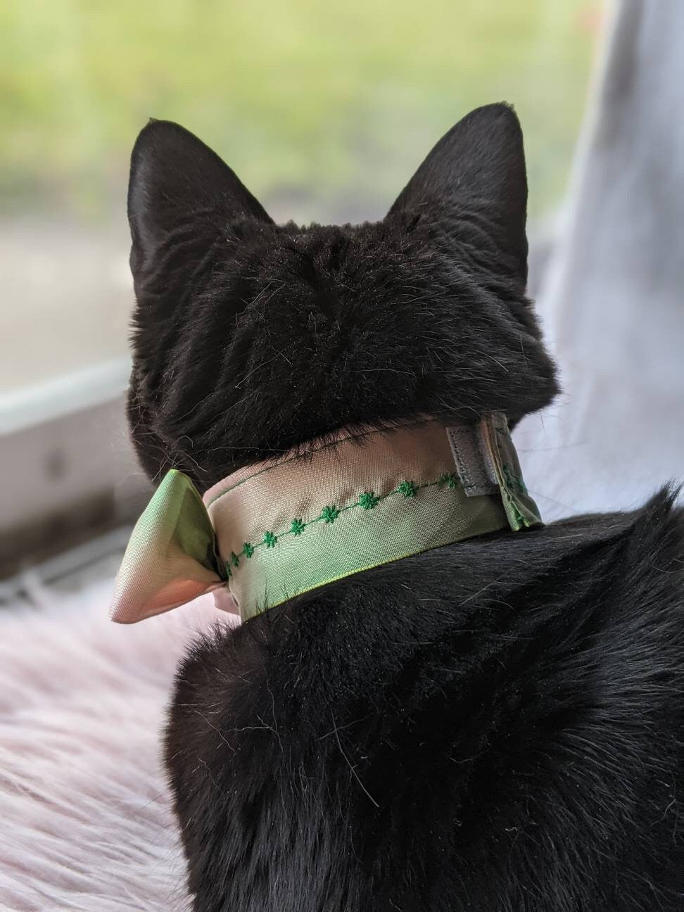 Adjustable Blue Green Collar Accessory for Cat