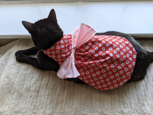 All the Hearts Cat Dress