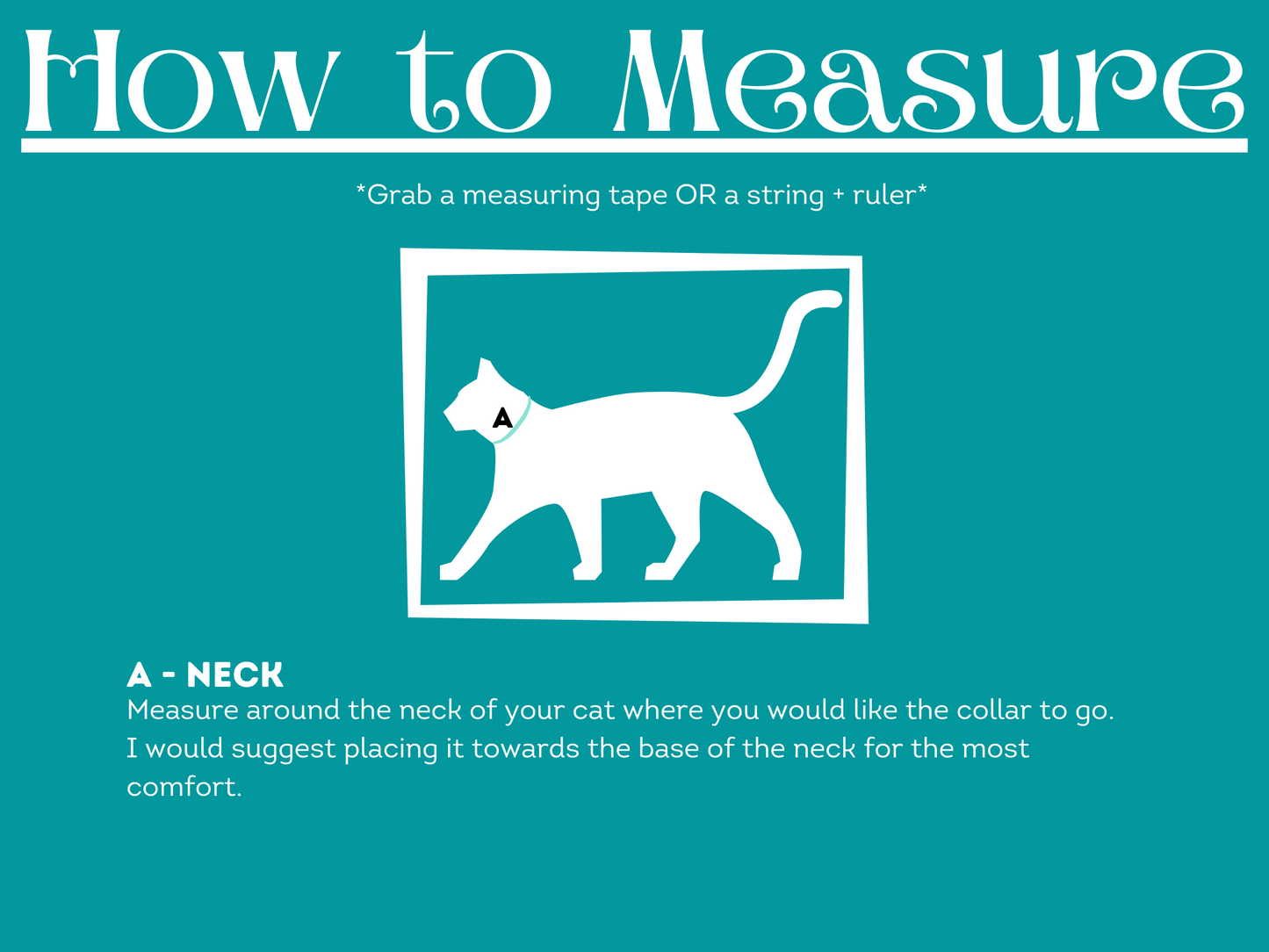 Fancy and Elegant Cat Collar Accessory