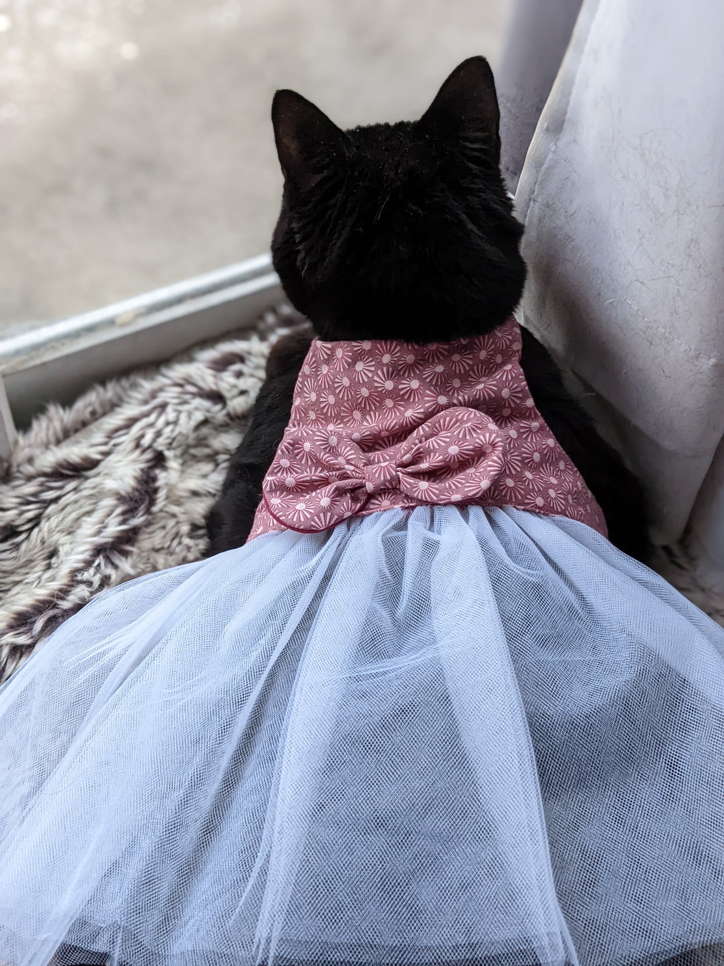 Pink Cat Dress for Cat with Bow