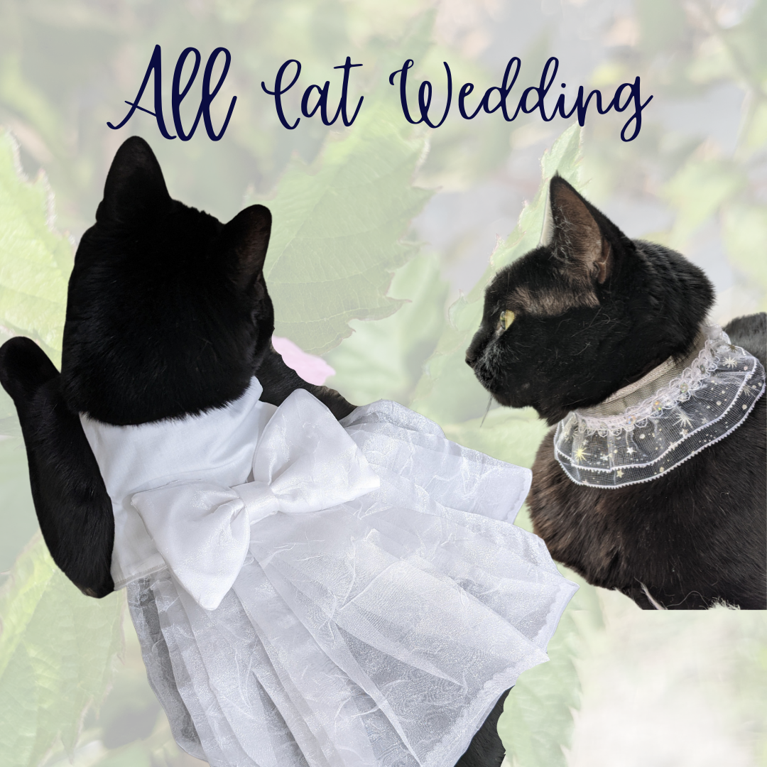 Cat Wedding