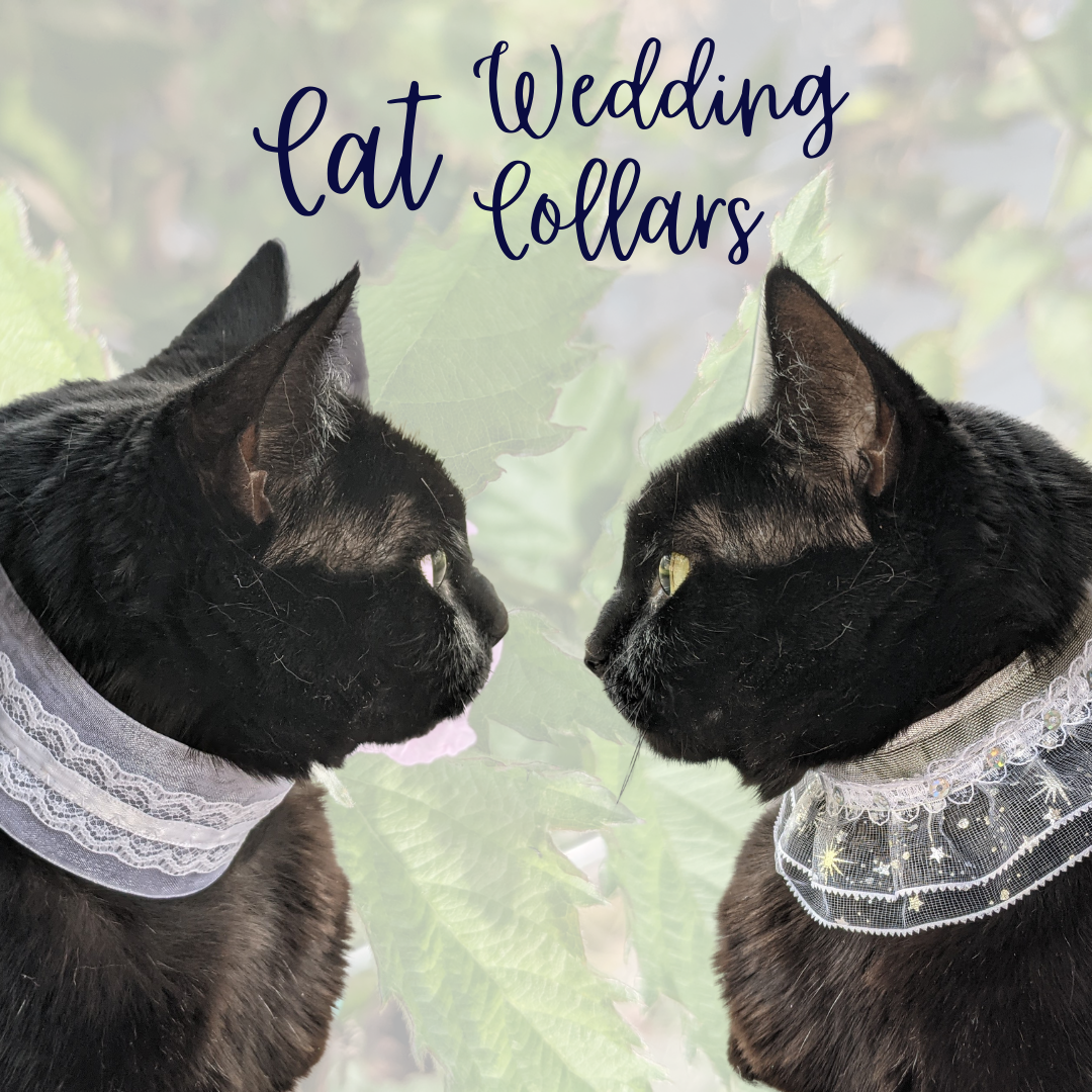Cat Wedding Collar for Cat