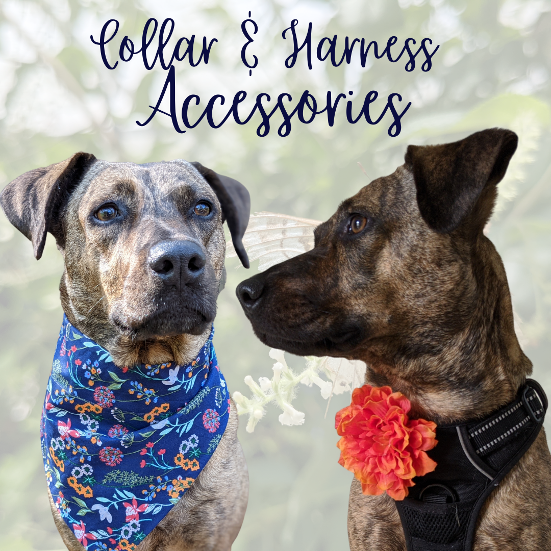Accessories for Collar
