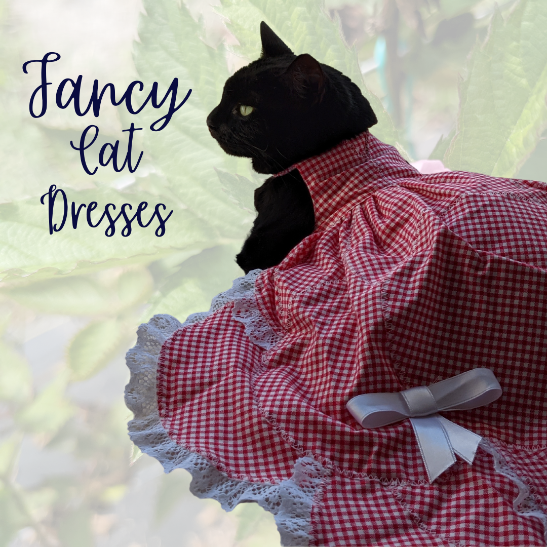 Cat Fancy Dress for Cat