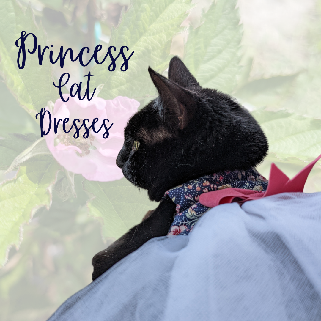 Cat Princess Dress for Cat