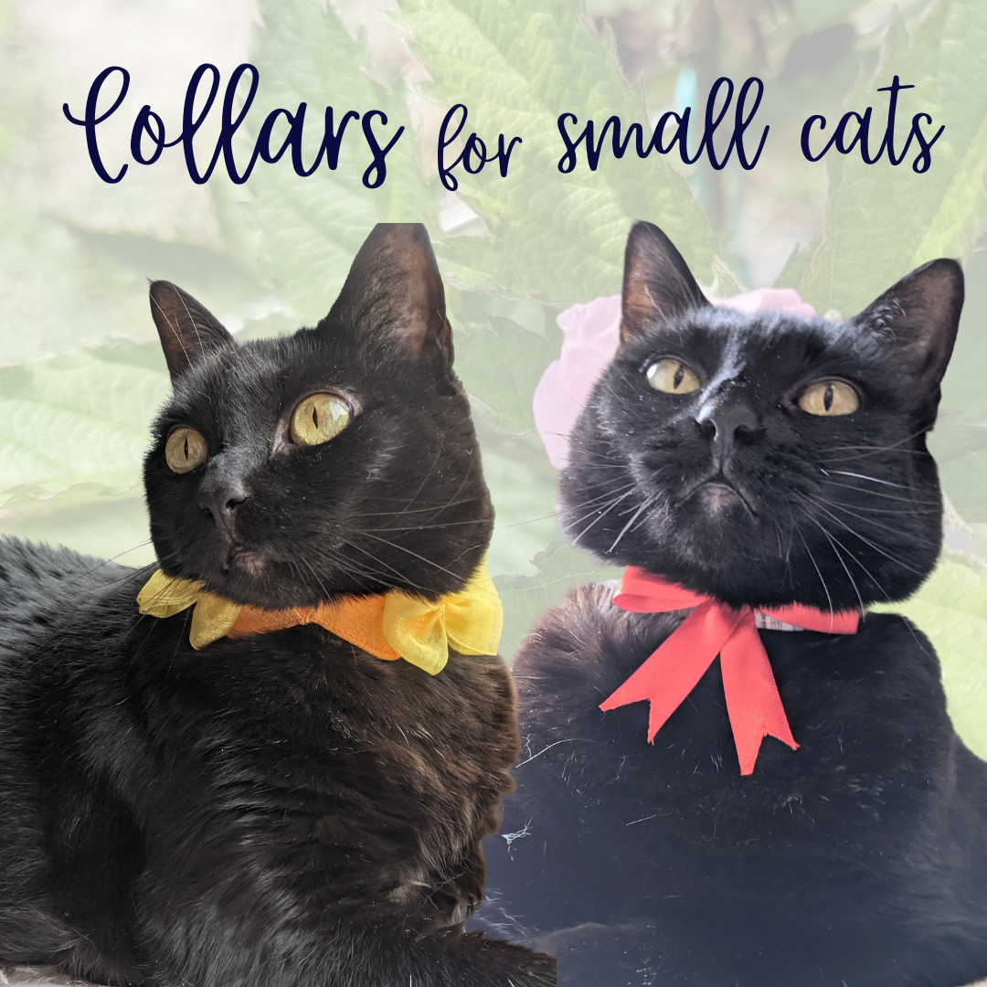 Collars for Small Cats