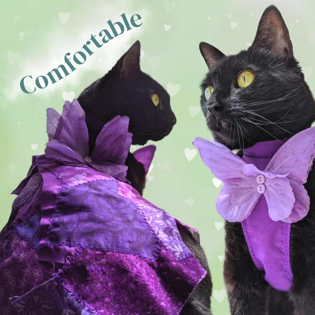 Cat Clothes for Cats