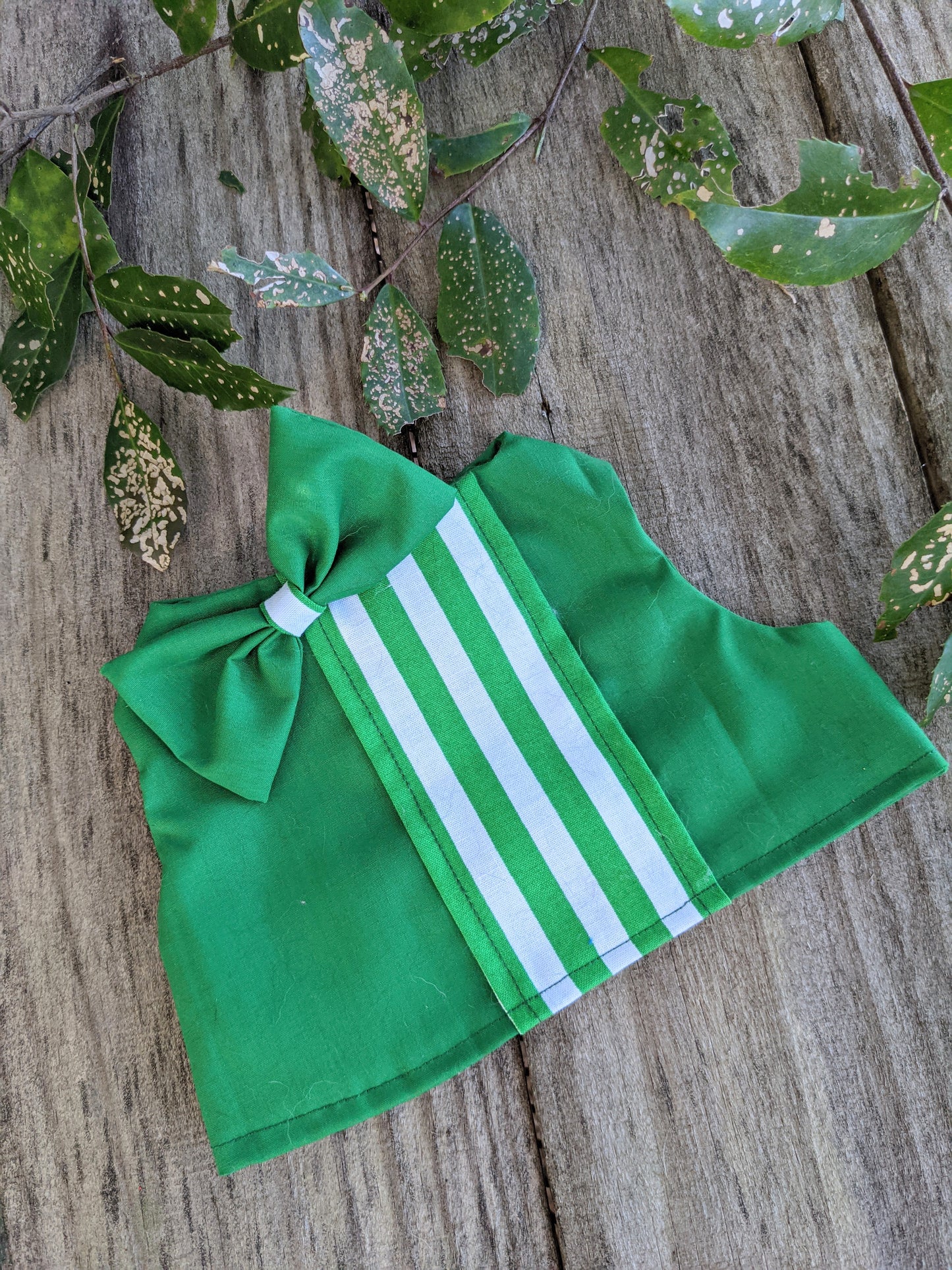 Green Cat Jacket for Cat