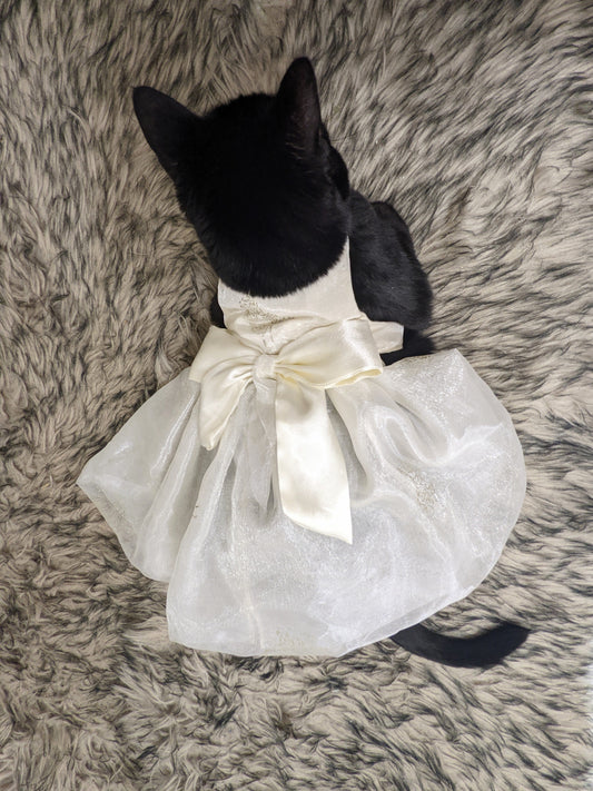 Elegant Cat Wedding Dress for Cat