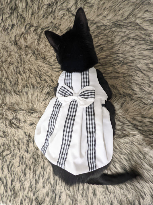 Fancy Black and White Dress for Cat