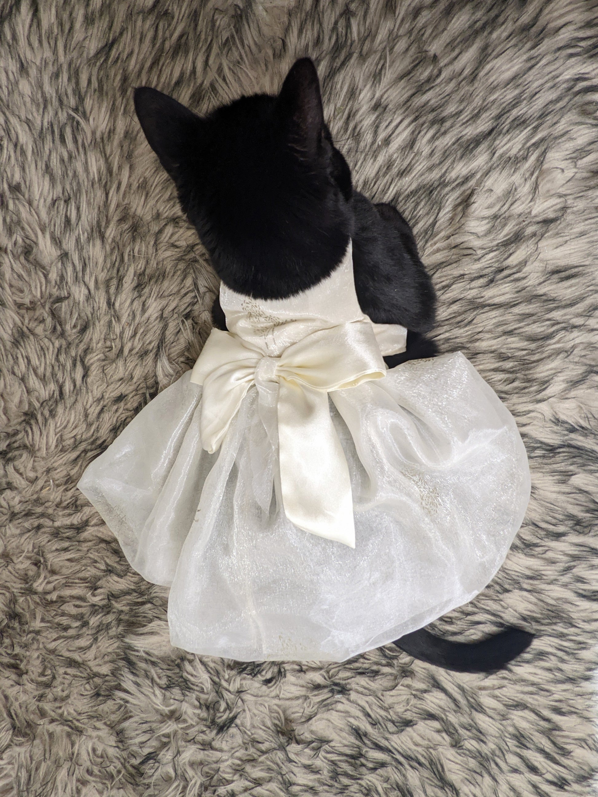 Elegant Cat Wedding Dress for Cat – Magical Wiggles Elegant Cat Wedding Dress for Cat – Magical Wiggles