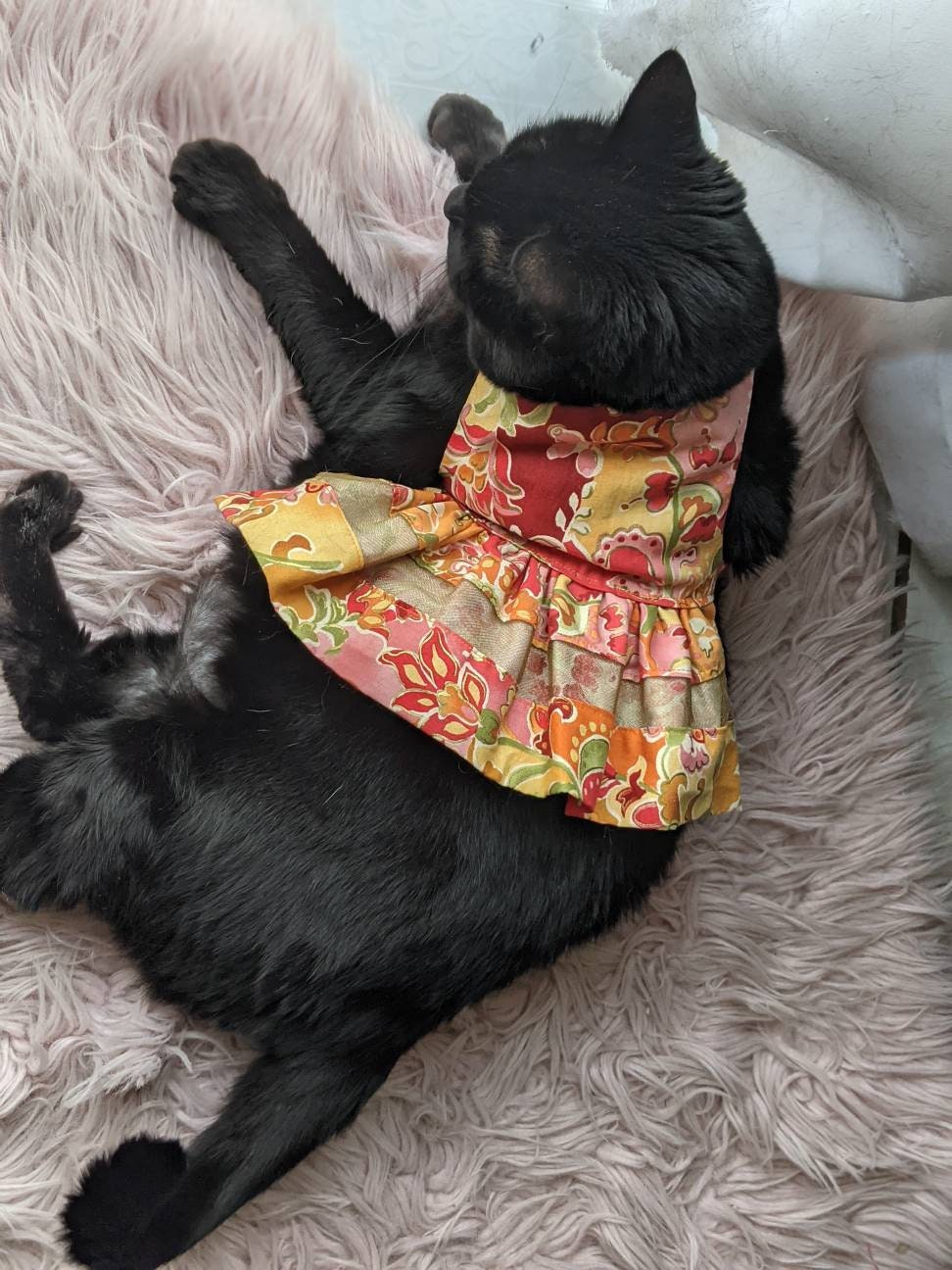 cat wearing mini skirt cat dress for cat