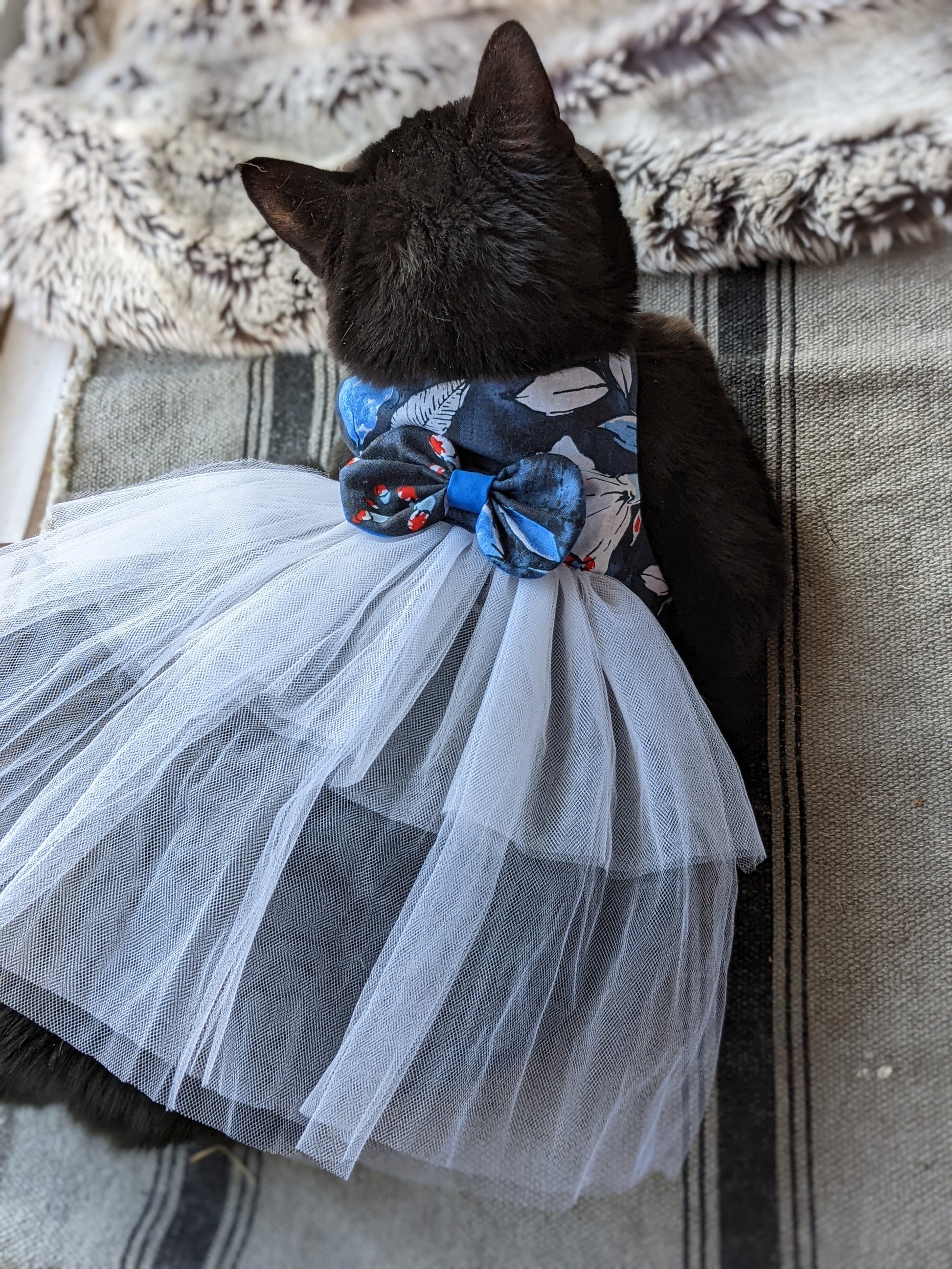 Blue Cat Dresses for Cat Magical Wiggles Blue Cat Dresses for Cat Magical Wiggles
