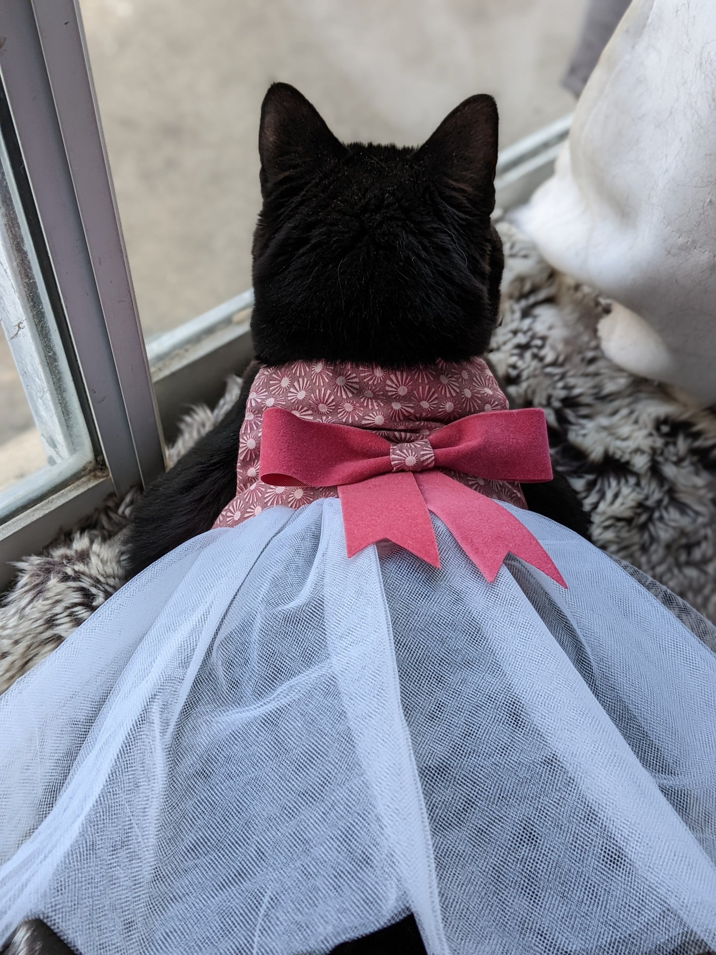 Pink Cat Dress for Cat with Bow