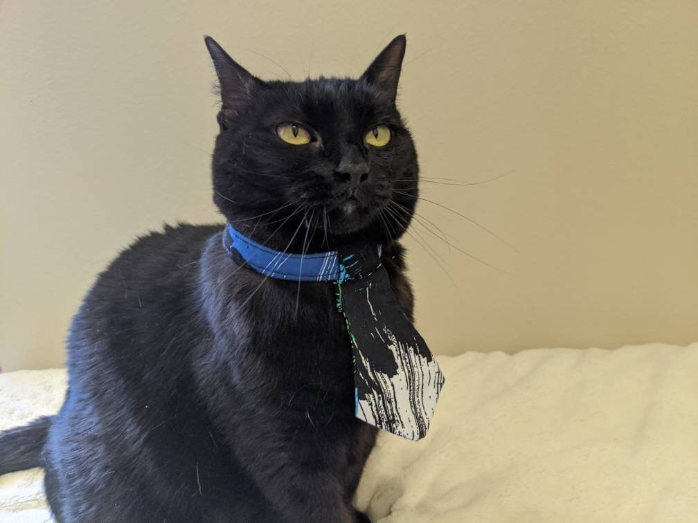 Black and Blue Skinny Adjustable Cat Tie Collar