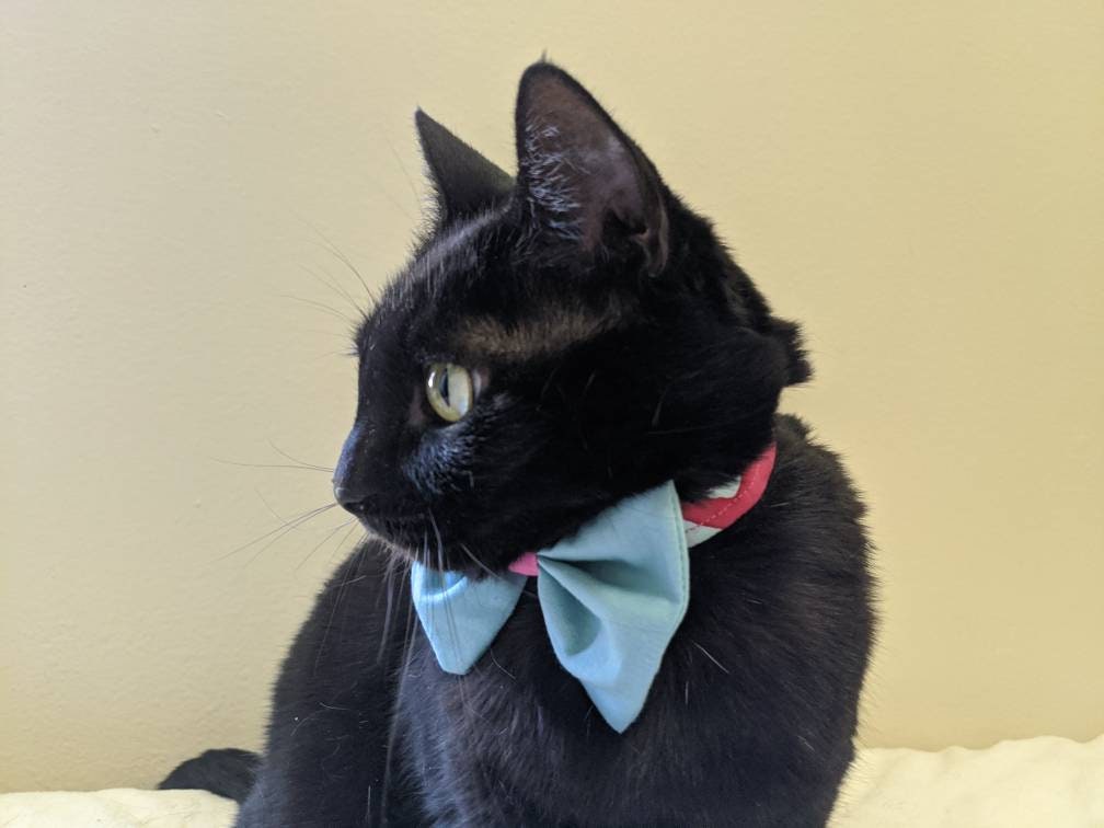 Blue and Pink Cat Collar Bow Tie