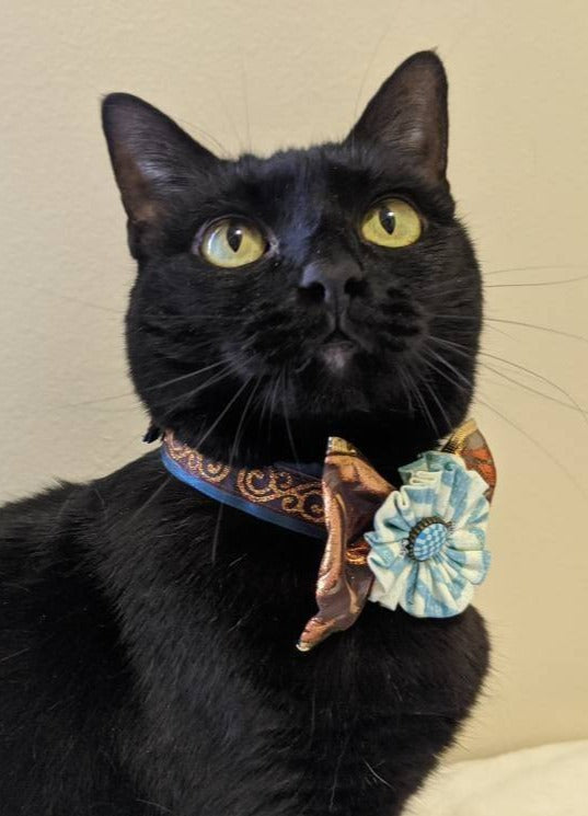 Ribbon Art Elegant Cat Collar Accessory