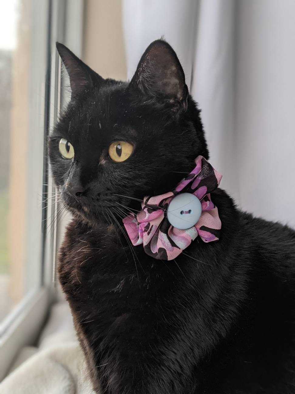 Purple Cat Wedding Flower Collar