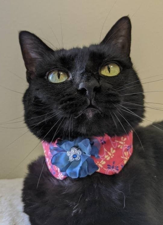 Cute Bow Adjustable Cat Collar