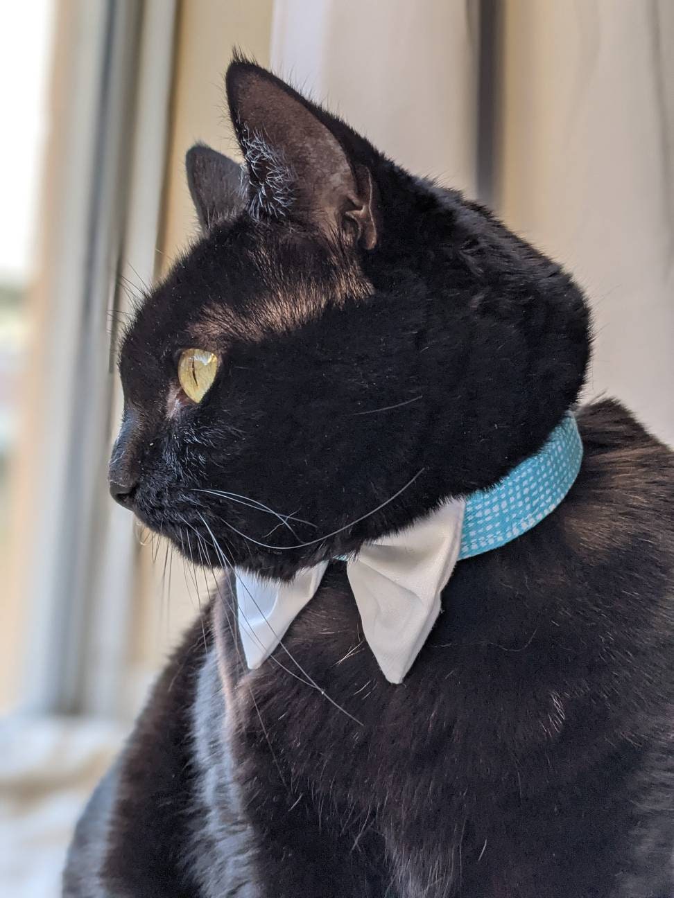 Light Blue Adjustable Cat Bowtie Collar