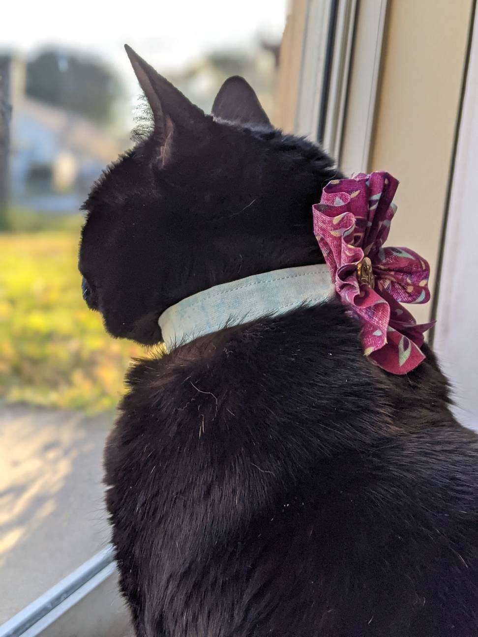 Purple Cat Flower Collar