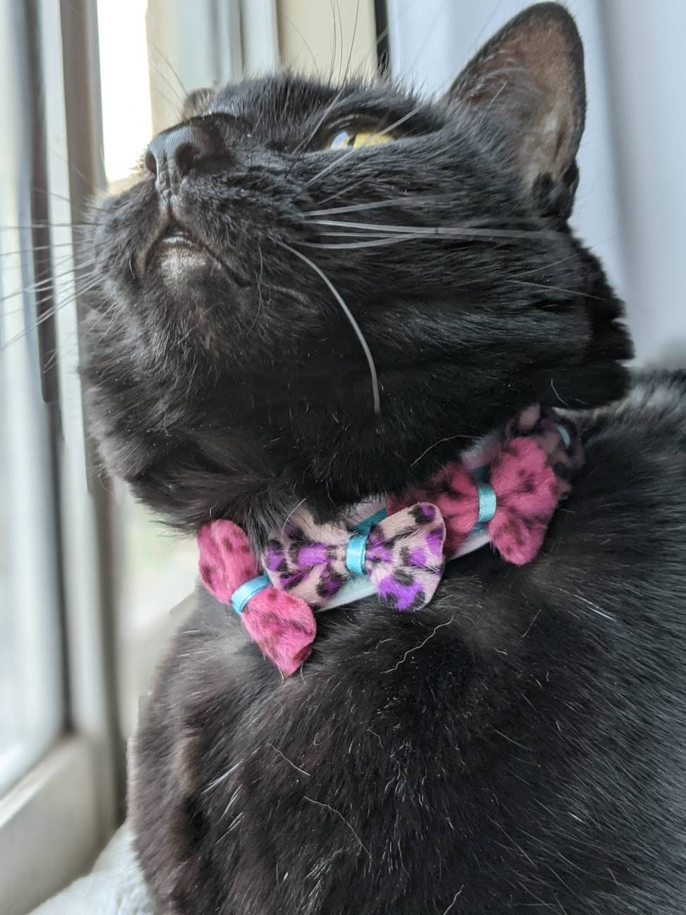 Small Bows Adjustable Cat Bowtie Collar