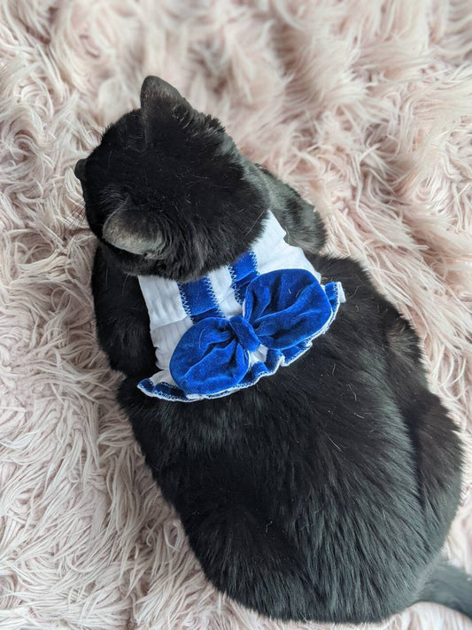 Elegant Blue Cat Jacket for Cat