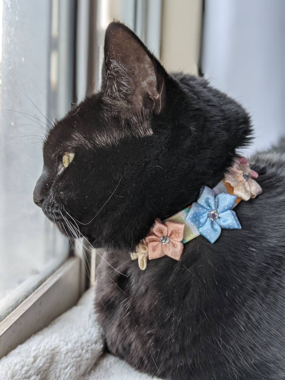 Dainty Floral Collar for Cat