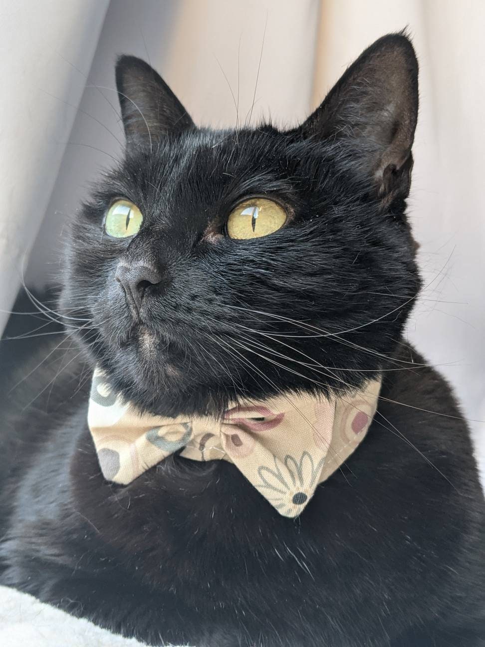 Handmade Adjustable Neck Cat Accessory