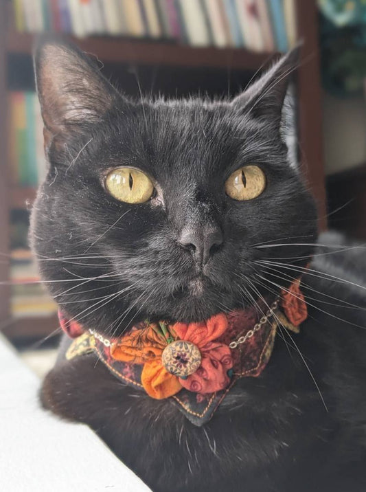 Orange Floral Cat Collar Accessory