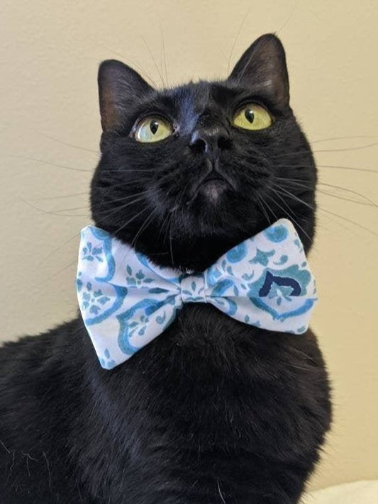 Blue and Brown Adjustable Cat Bowtie Collar