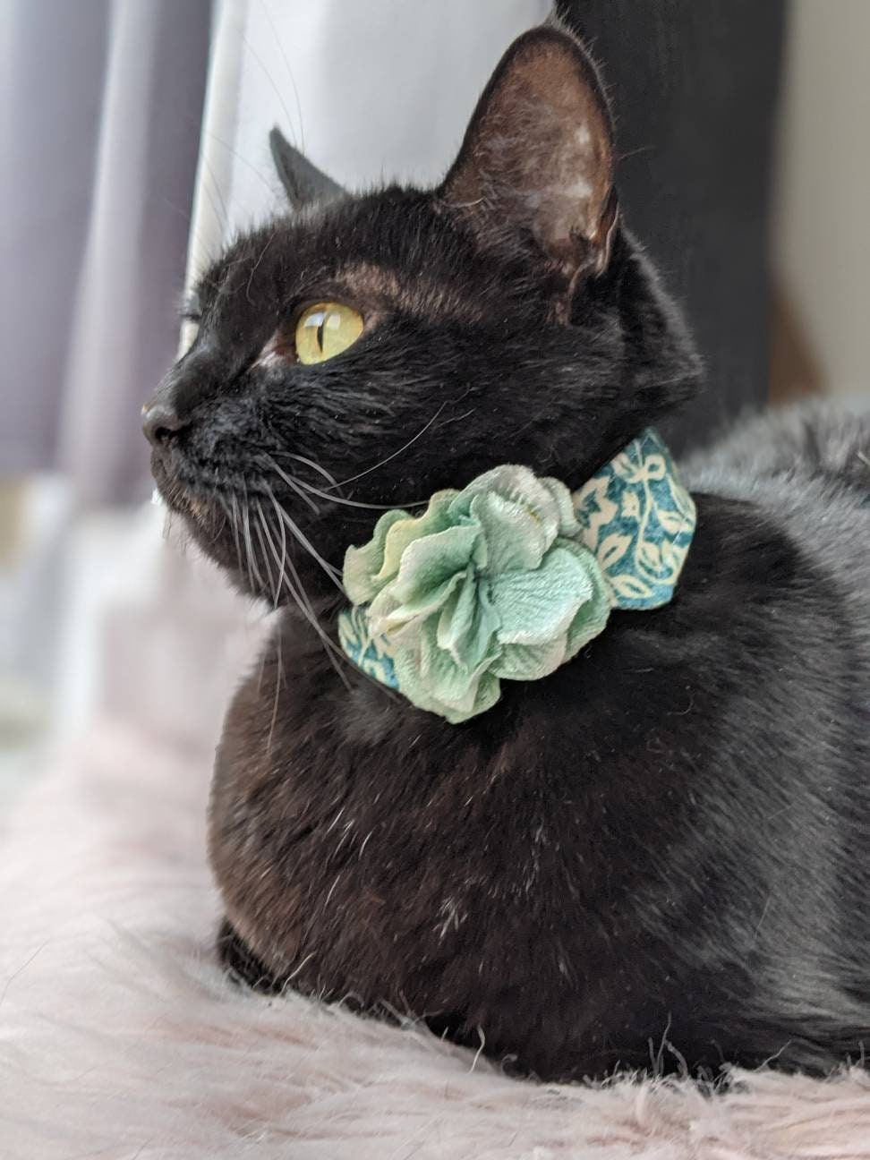 Adjustable Blue Green Collar Accessory for Cat