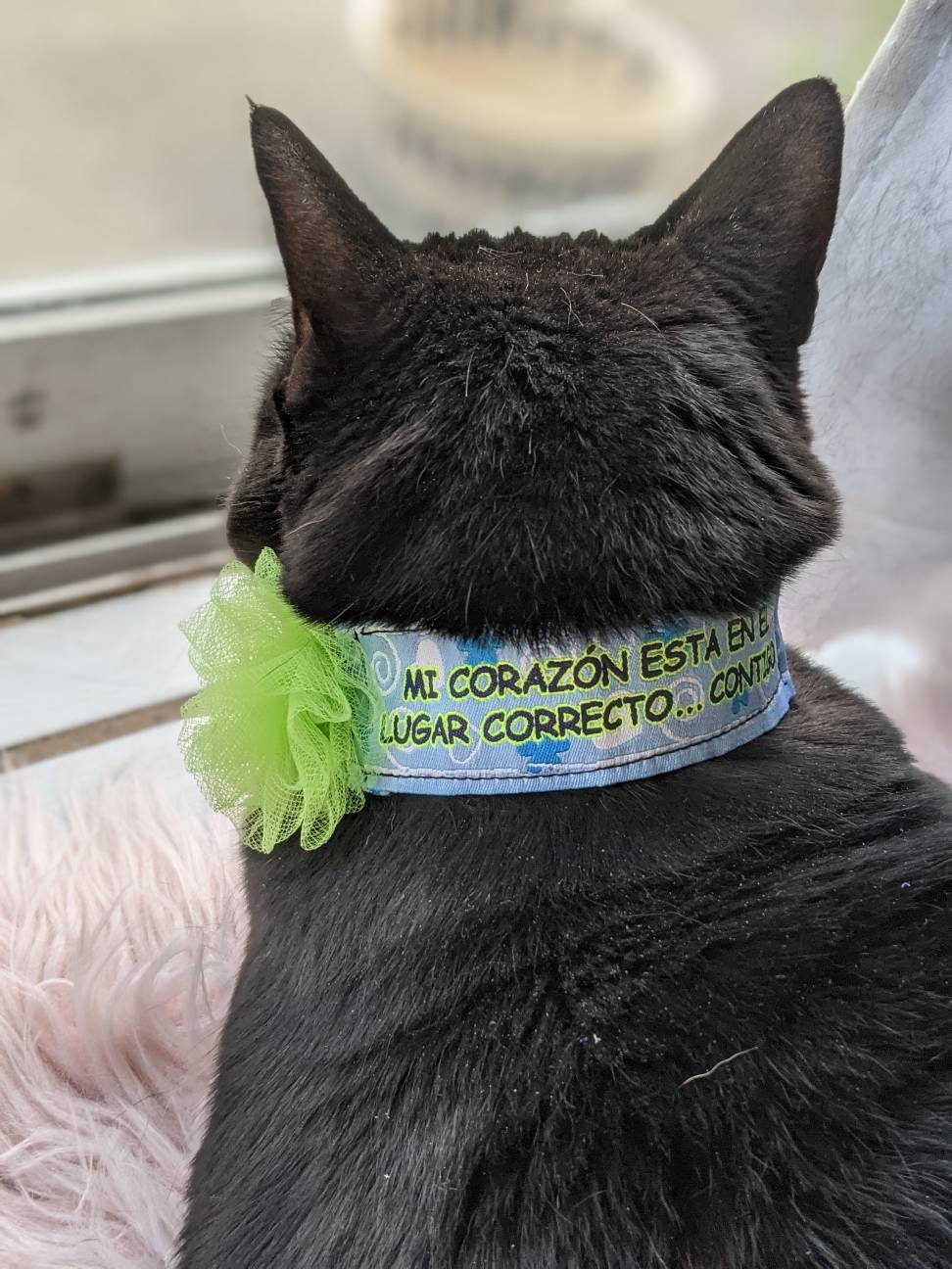 Handmade Adjustable Neck Cat Accessory