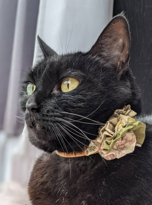 Yellow Flower Collar for Cat