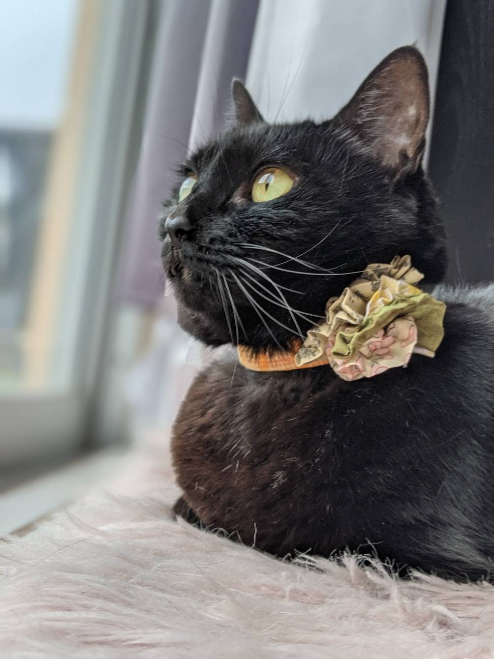 Yellow Flower Collar for Cat