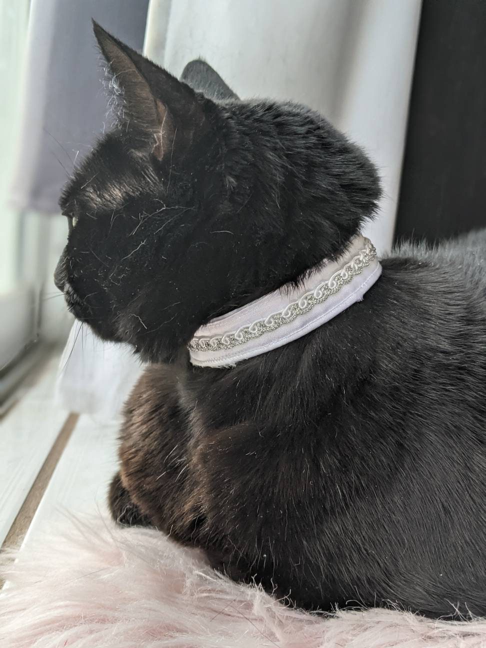 White Wedding Collar for Cat