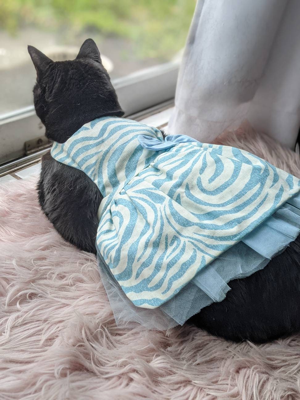 Zebra Print Cat Dress for Cat