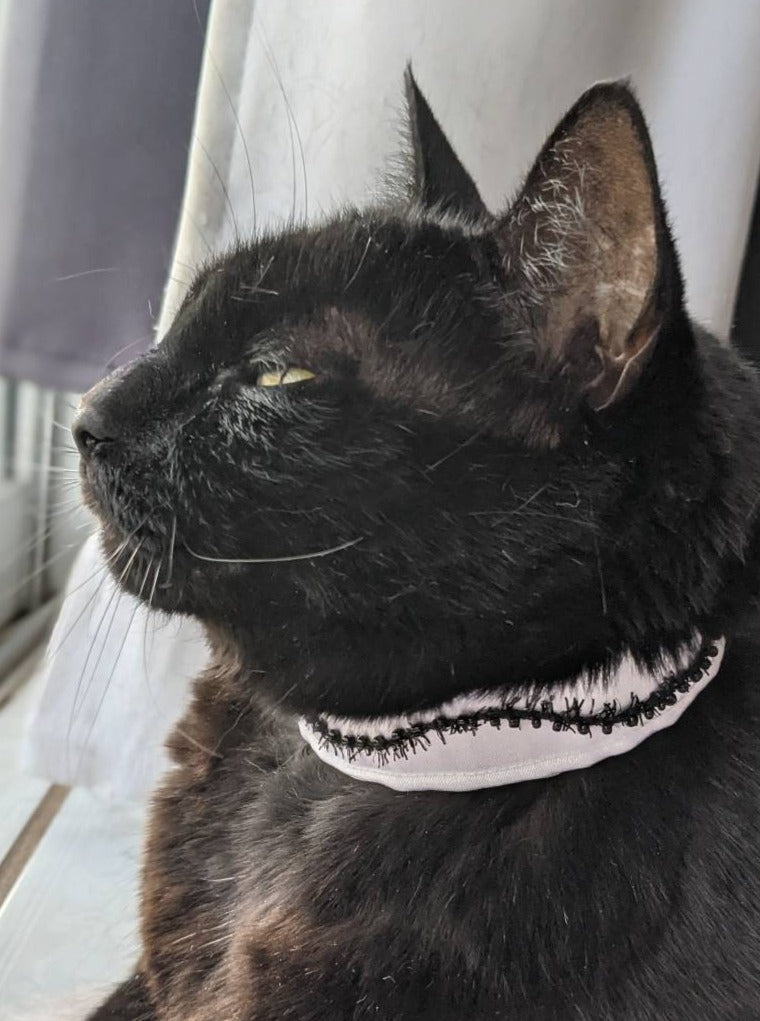 Black and White Adjustable cat Collar